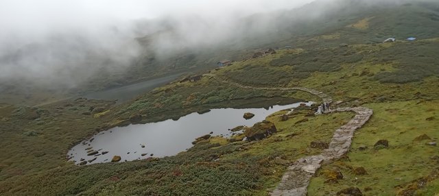 20250915_133212.jpg