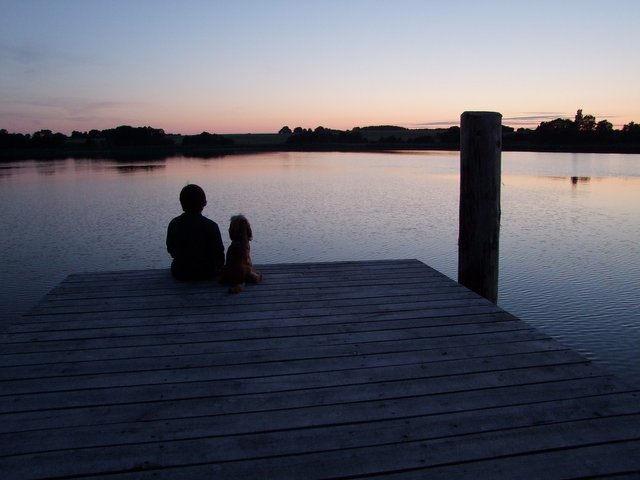 friends-2644612_1920.jpg