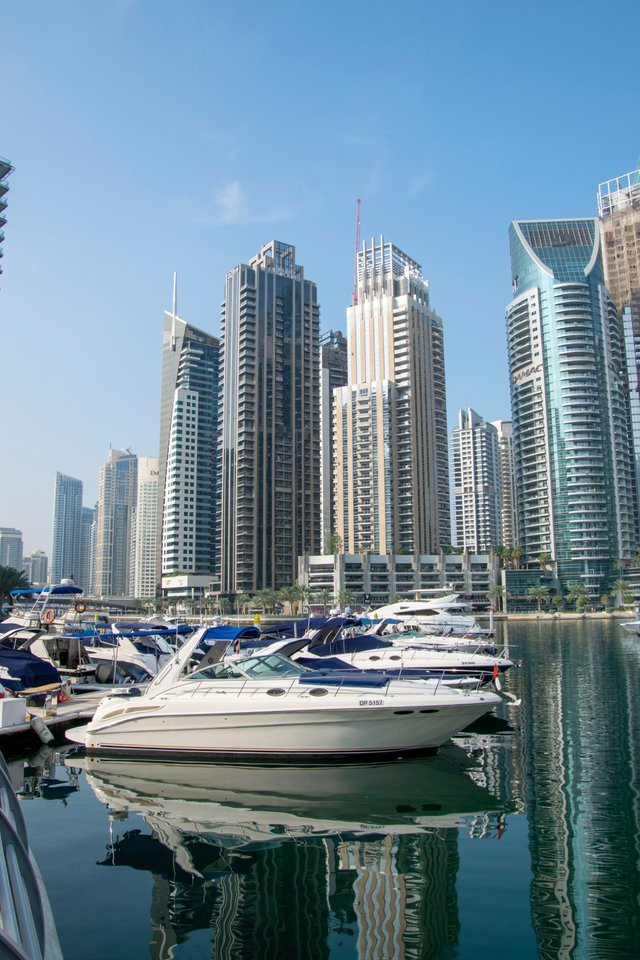 Marina 20241222_2.jpg