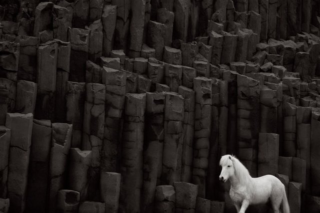 animal-photography-icelandic-horses-in-the-realm-of-legends-drew-doggett-22-5b5afbf98ba82__880.jpg