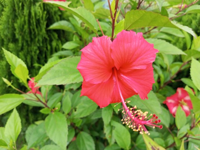 IMG_20250812_130149_490.jpg