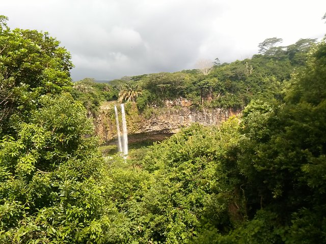3-Mauritius-The-Chamarel-Falls-Waterfall-Tree-Tuesday-Landscape-Photography.jpg