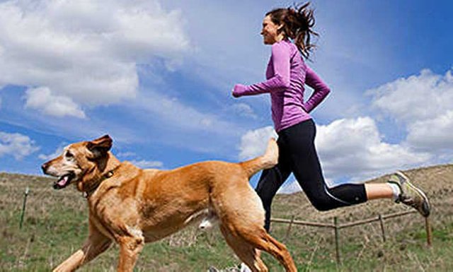 143425exercise-dog-jogging.jpg