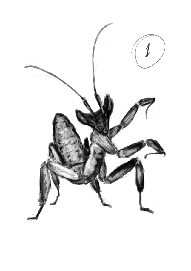 mantis_draft_01.jpg