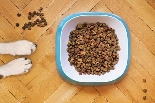 dry-dog-food-5198627__480.jpg