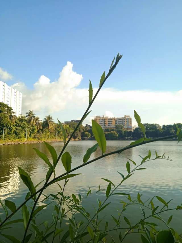 IMG-20250913-WA0115.
