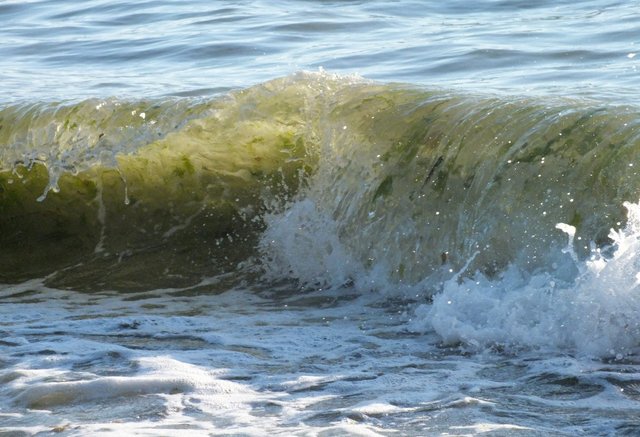 0272-Beach04.jpg