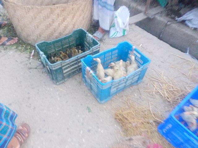 IMG20250613184521.jpg