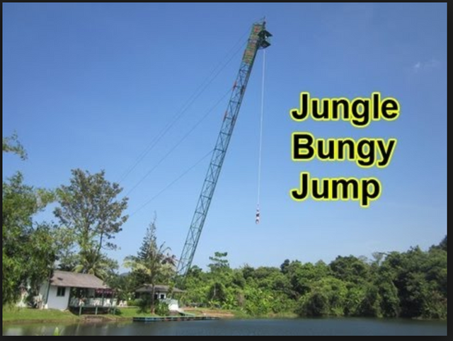 bungee jump.png