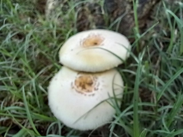 20250524_124041.jpg