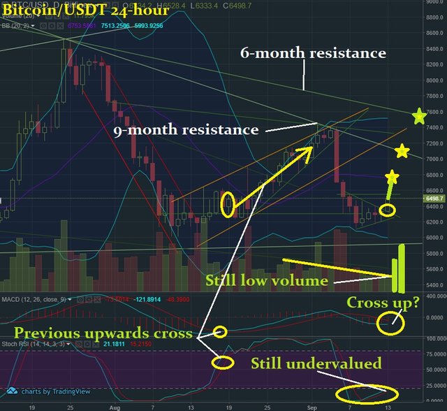 Sept 13 BTC T&A.jpg