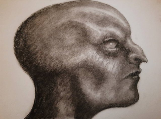 20250802_133841.jpg