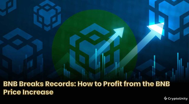 BNB Breaks Records How to Profit from the BNB Price Increase.jpg