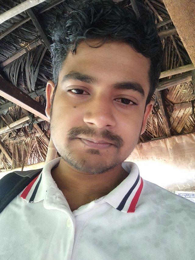 IMG_20250915_104907.jpg