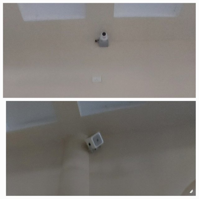 1001028289.jpg