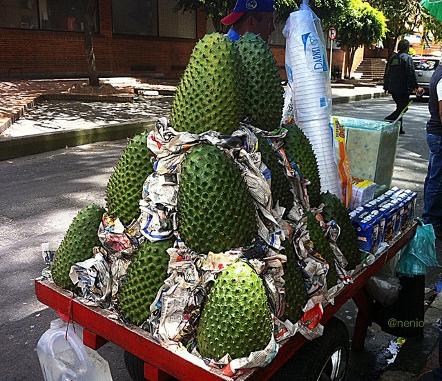 bogota-guanabanas.jpg