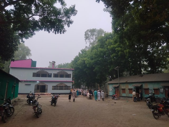 IMG20250331063211.jpg