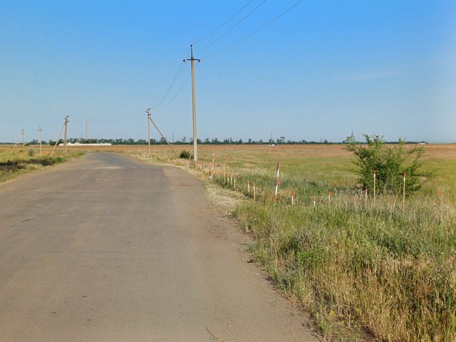 1000016727.jpg