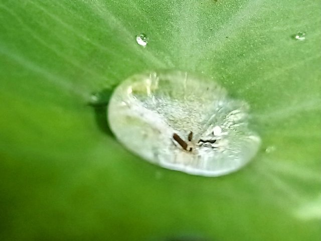 20250622_141606~2.jpg