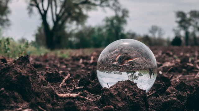 httpswww.pexels.comphotocloseup-photo-of-clear-glass-ball-on-soil-1080592.jpg