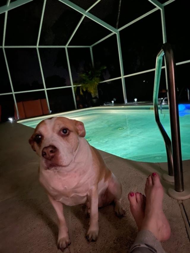 lili poolside.jpg