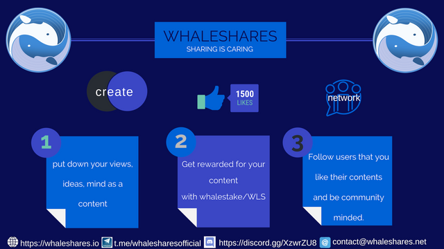 Whalesares infographics (1).png