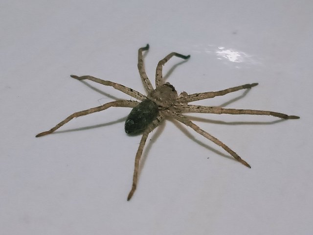 IMG20250329041043.jpg