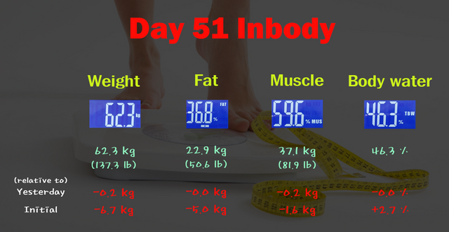 Day51 (inbody).png
