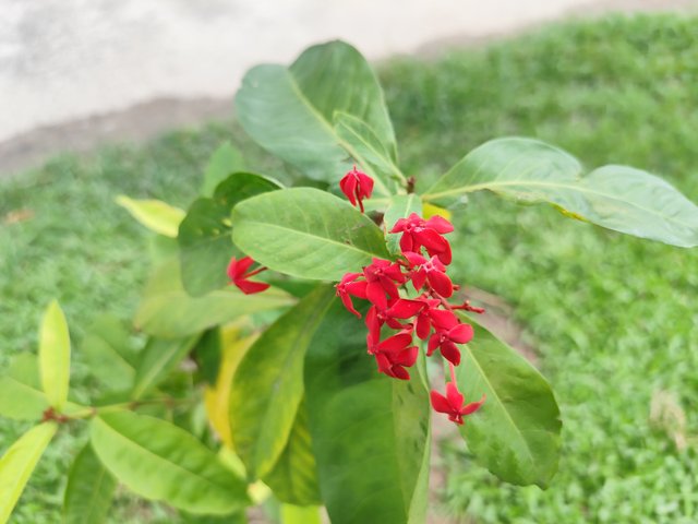 IMG_20250702_115253_1.jpg