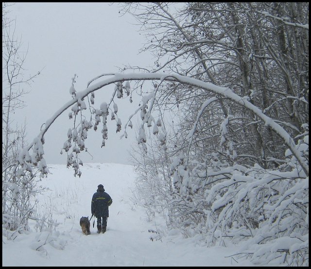 just entering hill snowy arched tree branch frames Bruno and Don.JPG