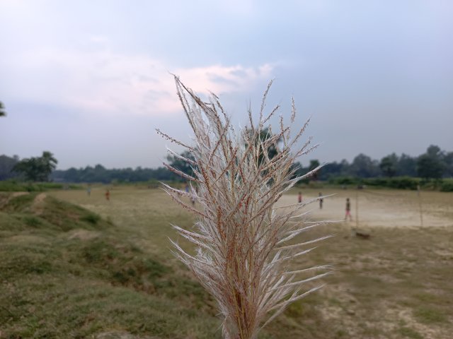 1000014850.jpg