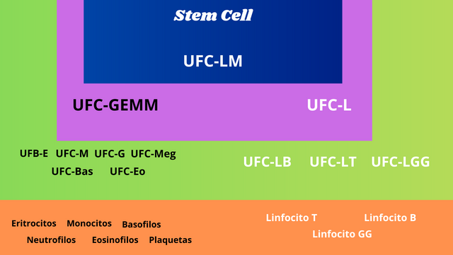 Copia de Reto de interaccion (1).png