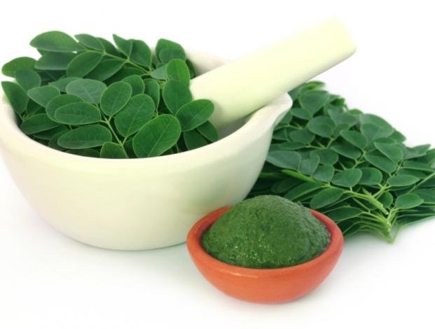 moringa004.jpg