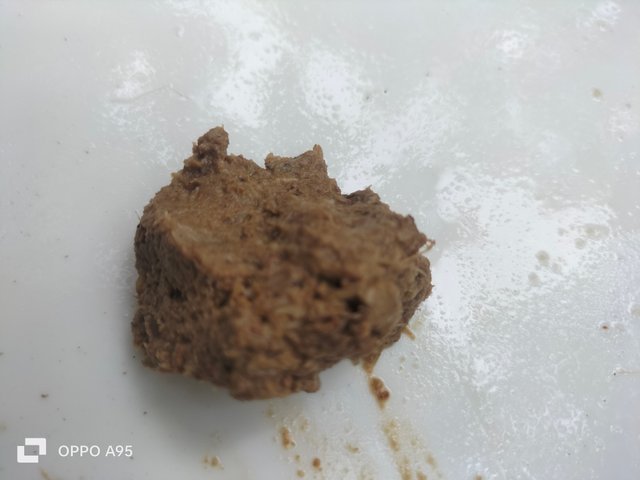 IMG20250610110205.jpg