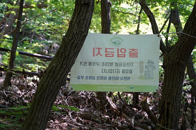 b-DSC04704.JPG