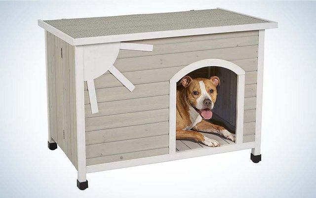 best-dog-houses-eillo-dog-house.jpg