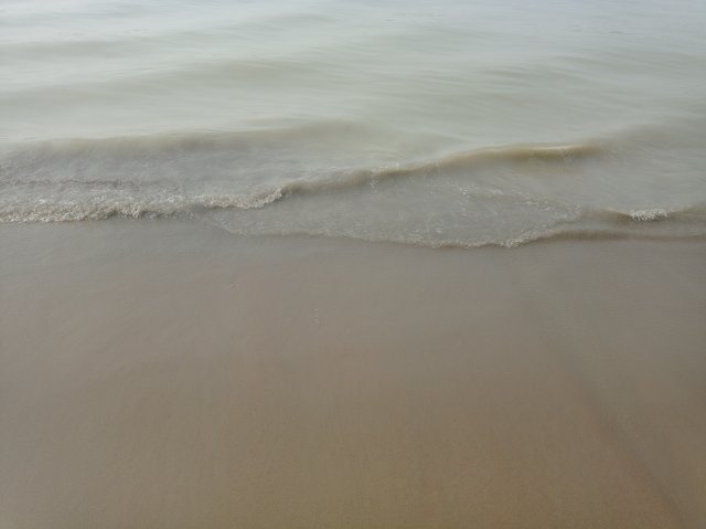IMG_20240218_110009.jpg