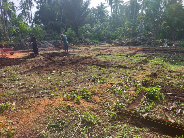 IMG20240815084316.jpg