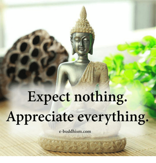 expect-nothing-appreciate-everything-e-buddhism-com-20925853.png