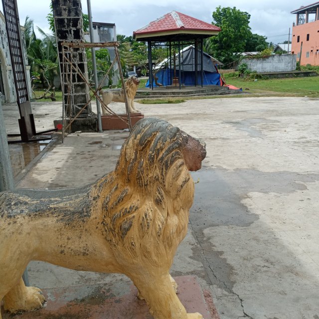 20250503_130350.jpg