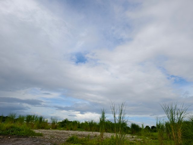 IMG_20250704_080841.jpg