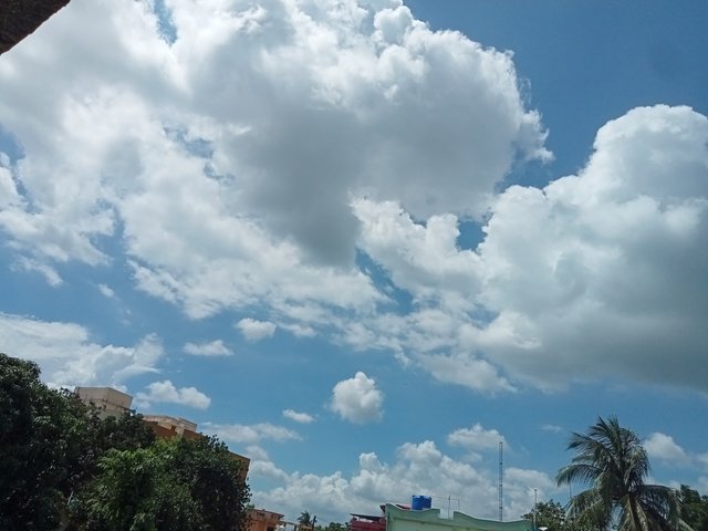 IMG20250527131751.jpg