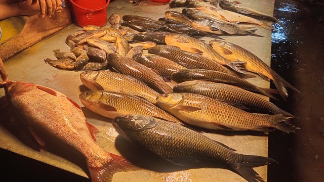 20250905_122857.jpg