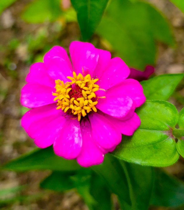 IMG_20230406_091755 (1).jpg