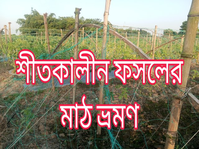 Picsart_24-12-07_09-41-49-923.jpg