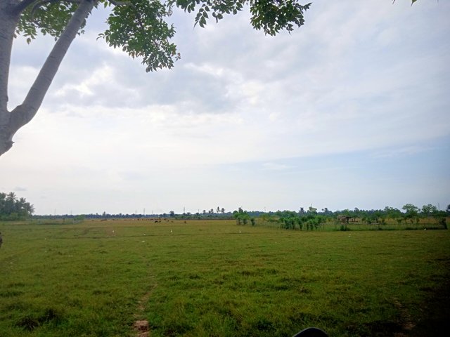 IMG20250820164147.jpg