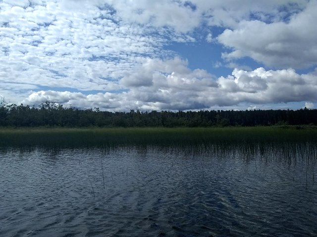 Quetico Canoe 2.jpg