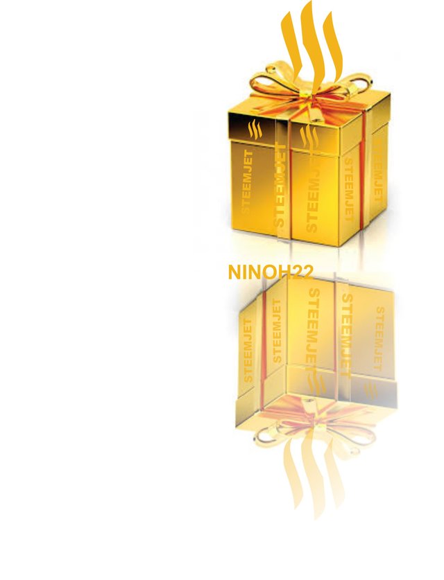 NINOH GOLD GIFT3.jpg