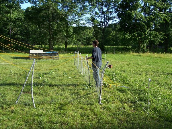 Circus Tent - adjusting ropes1 crop July 10.jpg