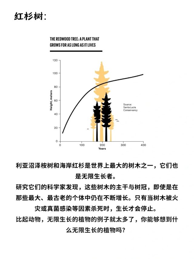 科普一分钟_你知道这些动物会“无限长大”吗❓_9.jpg